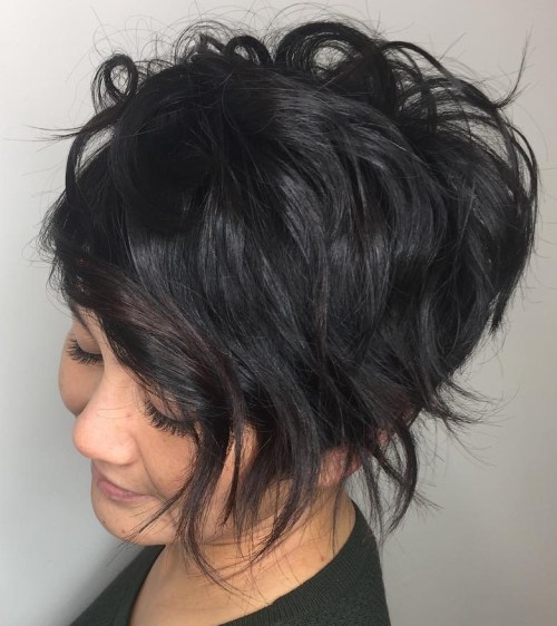 Black Pixie Bob